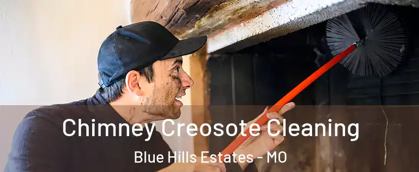 Chimney Creosote Cleaning Blue Hills Estates - MO