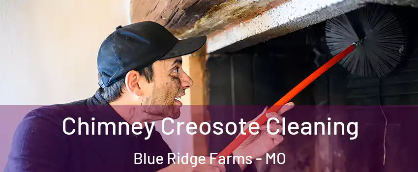 Chimney Creosote Cleaning Blue Ridge Farms - MO