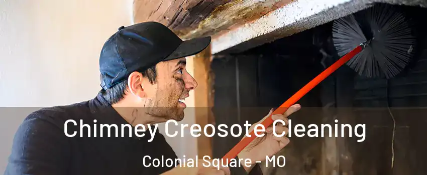 Chimney Creosote Cleaning Colonial Square - MO