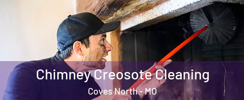 Chimney Creosote Cleaning Coves North - MO