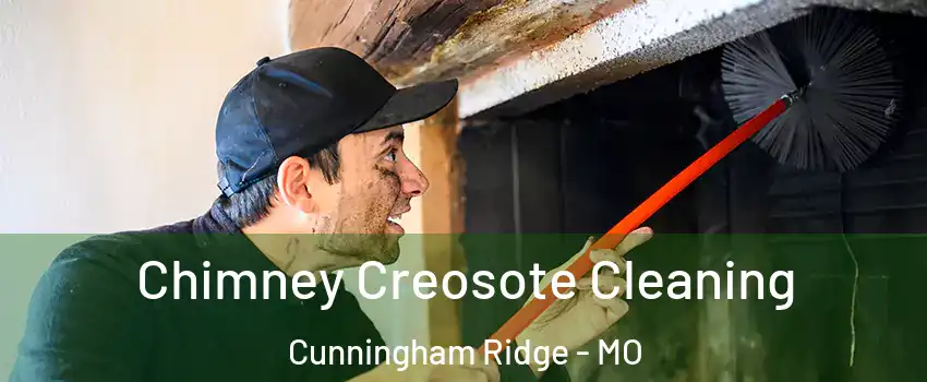 Chimney Creosote Cleaning Cunningham Ridge - MO