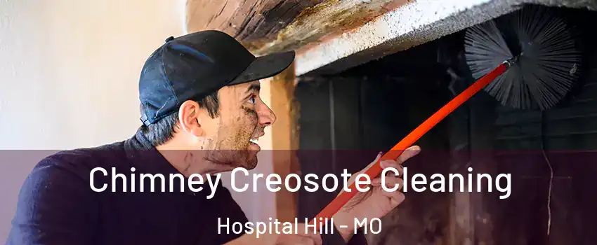 Chimney Creosote Cleaning Hospital Hill - MO