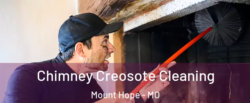 Chimney Creosote Cleaning Mount Hope - MO