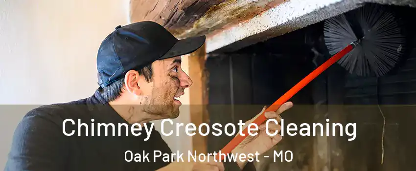 Chimney Creosote Cleaning Oak Park Northwest - MO