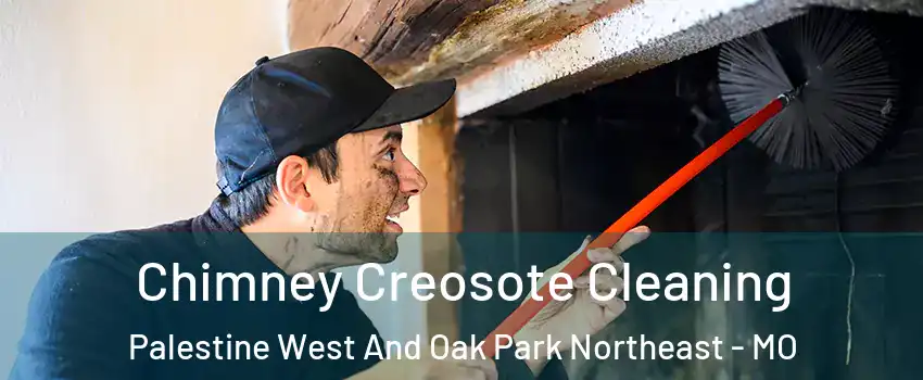 Chimney Creosote Cleaning Palestine West And Oak Park Northeast - MO