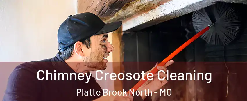 Chimney Creosote Cleaning Platte Brook North - MO