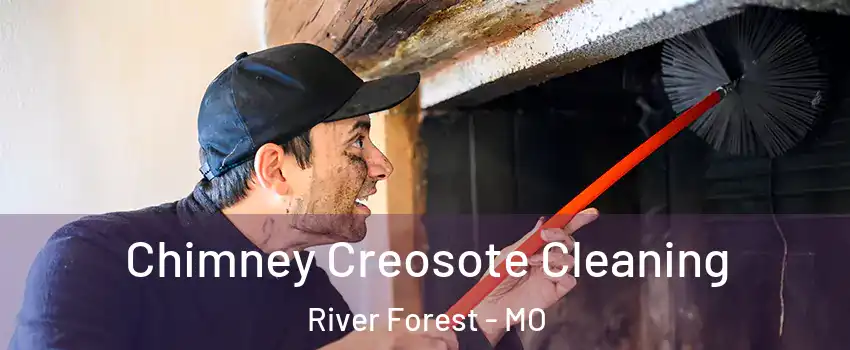 Chimney Creosote Cleaning River Forest - MO