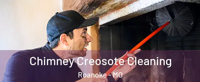 Chimney Creosote Cleaning Roanoke - MO