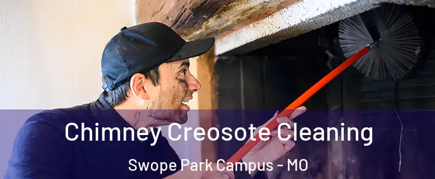 Chimney Creosote Cleaning Swope Park Campus - MO