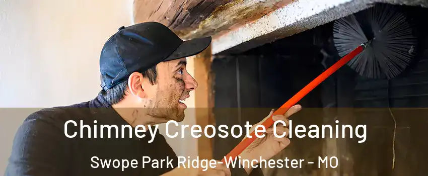 Chimney Creosote Cleaning Swope Park Ridge-Winchester - MO