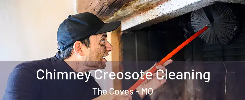 Chimney Creosote Cleaning The Coves - MO