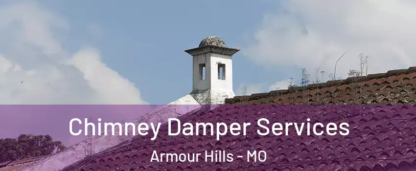 Chimney Damper Services Armour Hills - MO