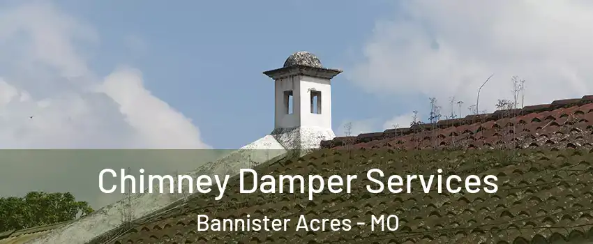 Chimney Damper Services Bannister Acres - MO