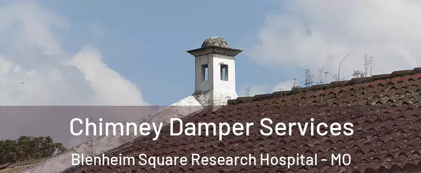 Chimney Damper Services Blenheim Square Research Hospital - MO