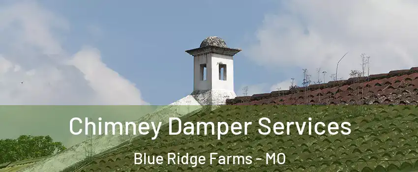 Chimney Damper Services Blue Ridge Farms - MO