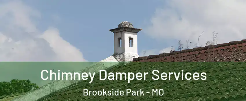 Chimney Damper Services Brookside Park - MO