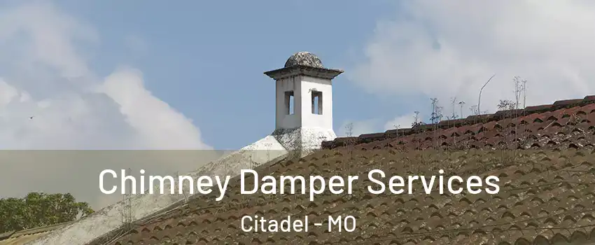 Chimney Damper Services Citadel - MO