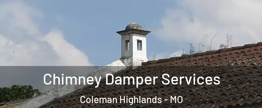 Chimney Damper Services Coleman Highlands - MO