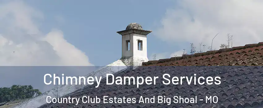 Chimney Damper Services Country Club Estates And Big Shoal - MO