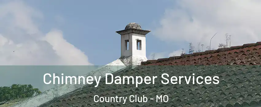 Chimney Damper Services Country Club - MO