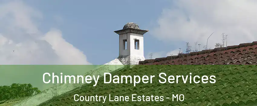 Chimney Damper Services Country Lane Estates - MO