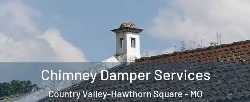 Chimney Damper Services Country Valley-Hawthorn Square - MO