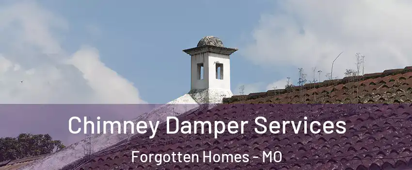 Chimney Damper Services Forgotten Homes - MO