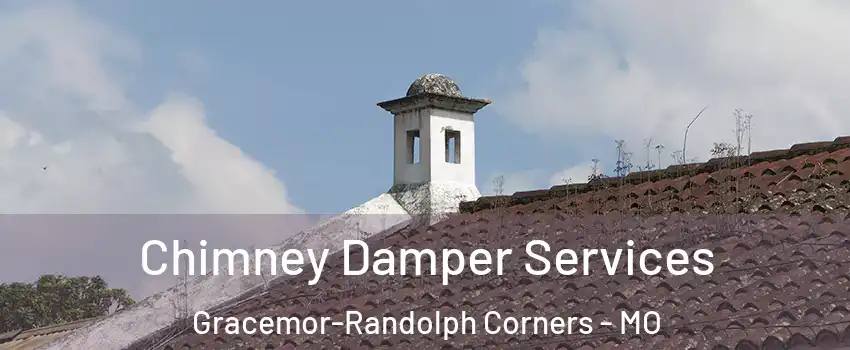 Chimney Damper Services Gracemor-Randolph Corners - MO