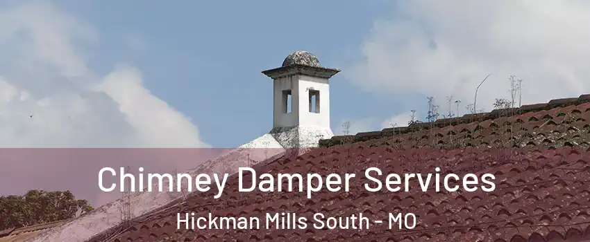 Chimney Damper Services Hickman Mills South - MO