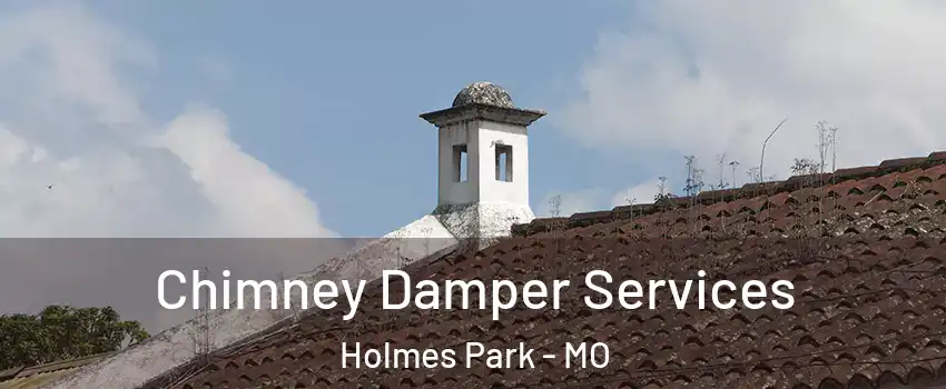 Chimney Damper Services Holmes Park - MO