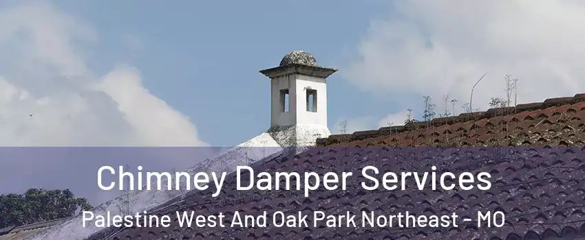 Chimney Damper Services Palestine West And Oak Park Northeast - MO