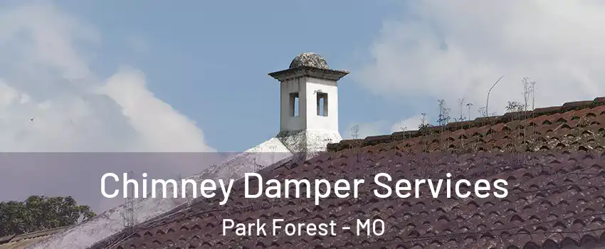 Chimney Damper Services Park Forest - MO