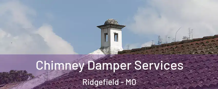 Chimney Damper Services Ridgefield - MO