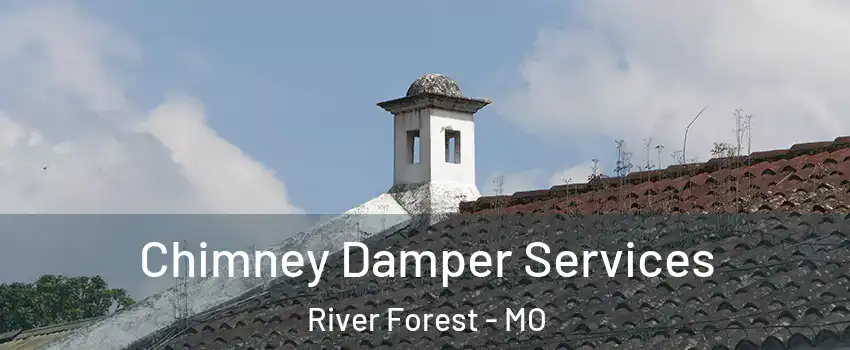 Chimney Damper Services River Forest - MO