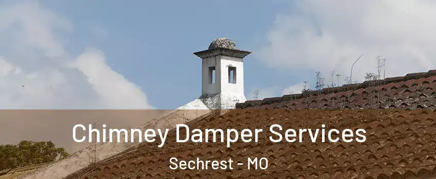 Chimney Damper Services Sechrest - MO