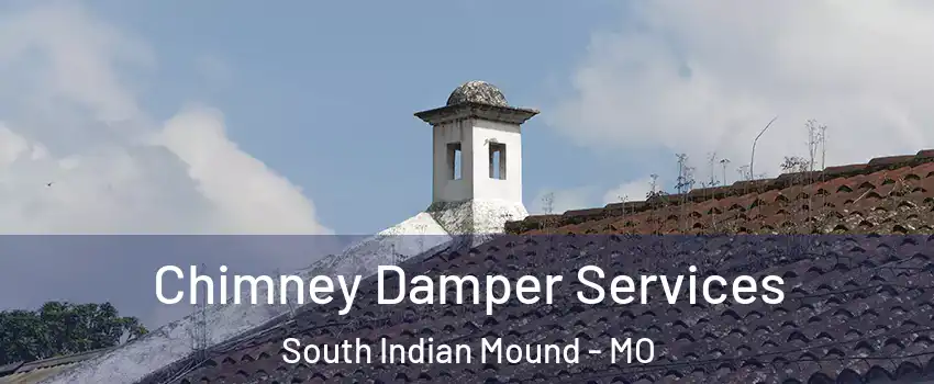 Chimney Damper Services South Indian Mound - MO