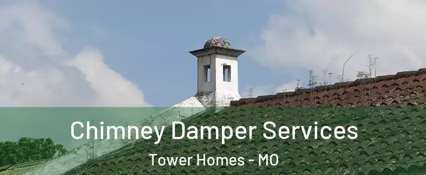 Chimney Damper Services Tower Homes - MO