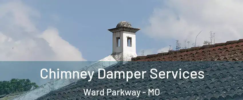 Chimney Damper Services Ward Parkway - MO