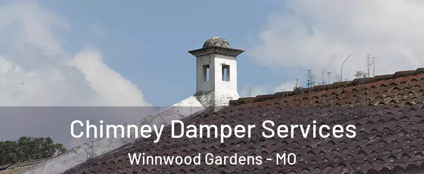 Chimney Damper Services Winnwood Gardens - MO