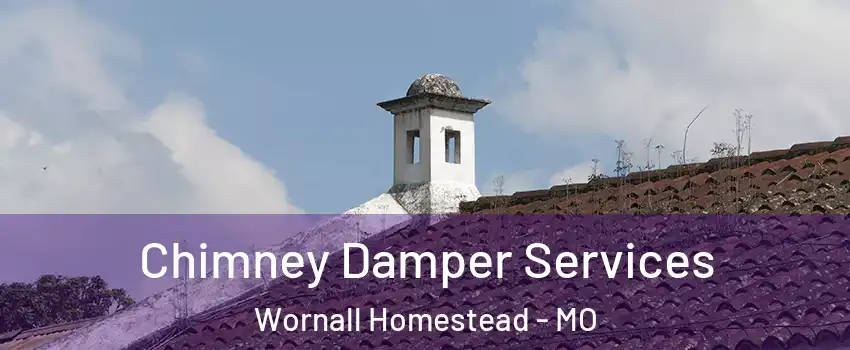 Chimney Damper Services Wornall Homestead - MO