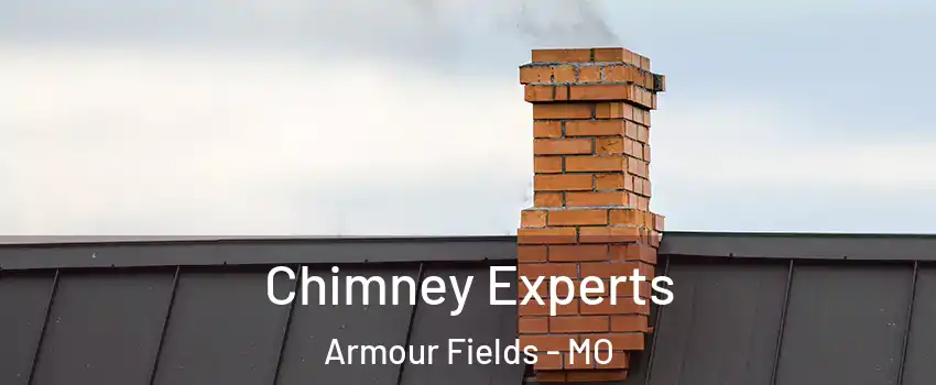 Chimney Experts Armour Fields - MO