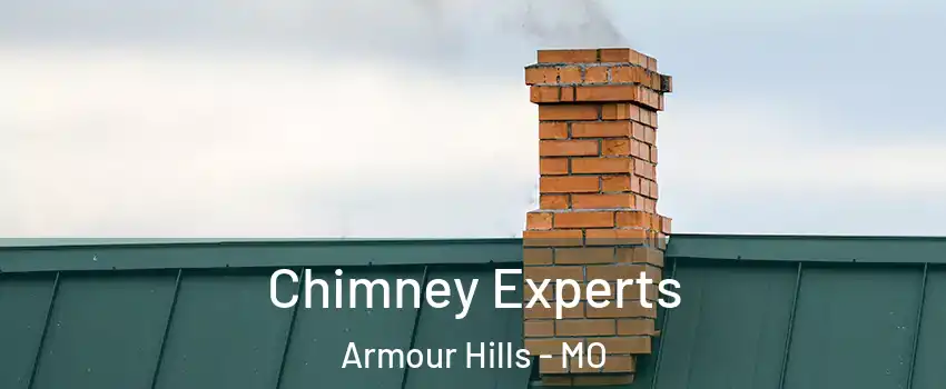 Chimney Experts Armour Hills - MO