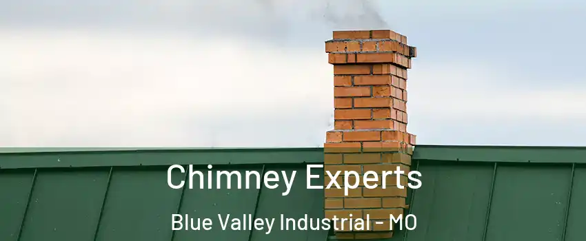 Chimney Experts Blue Valley Industrial - MO