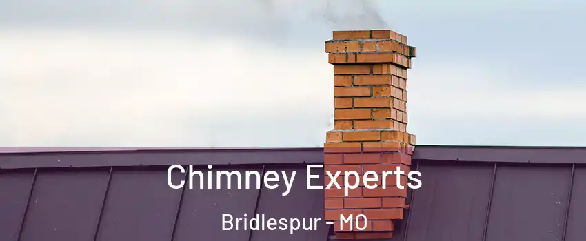 Chimney Experts Bridlespur - MO