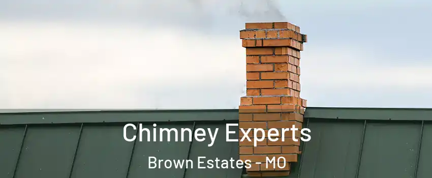 Chimney Experts Brown Estates - MO