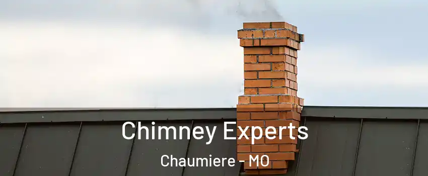 Chimney Experts Chaumiere - MO