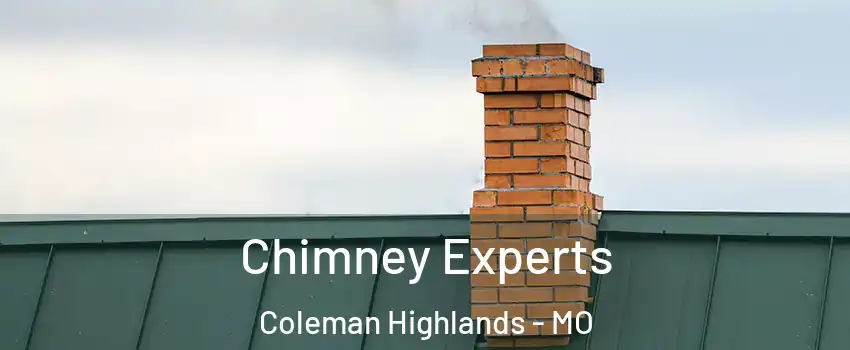 Chimney Experts Coleman Highlands - MO