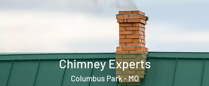 Chimney Experts Columbus Park - MO