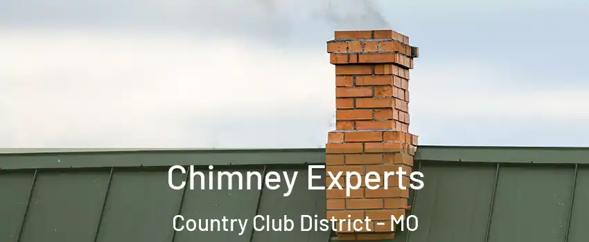 Chimney Experts Country Club District - MO