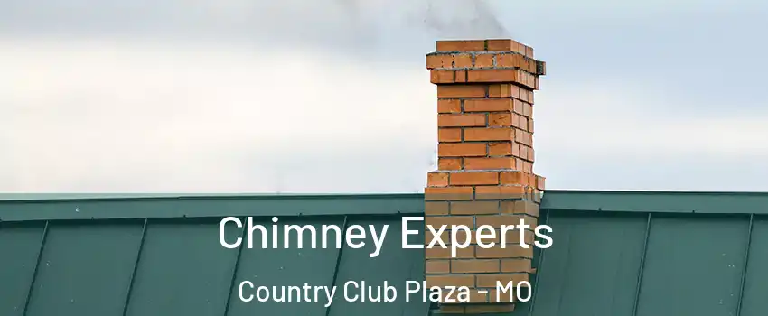 Chimney Experts Country Club Plaza - MO